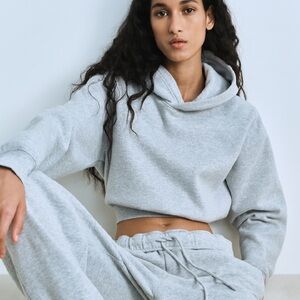 Aritzia Perfect Crop Hoodie